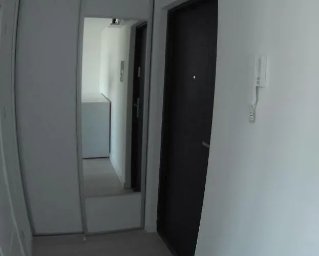 Miedzianka Apartament *